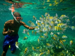 Cuba snorkelen