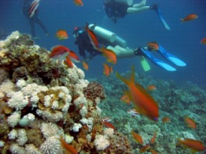Onderwaterwereld Cuba